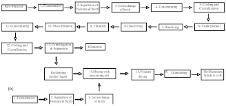 12 Punctilious Protein Synthesis Flow Diagram