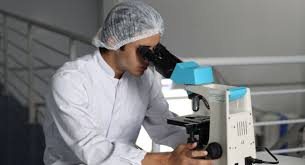 Pharmacovigilance Careers For Toxicologists Jli Blog