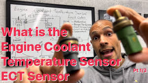 engine coolant rature sensor ect