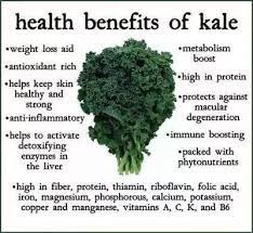 Greens are simmered in chicken stock, then spiced with a dash of cooking these greens in a mixture of chicken broth and smoked turkey promotes and outstanding and flavorful combination. What Is Kale Called In The Indian Vegetable Market Is It Available All Across The Country Quora