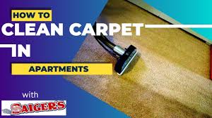 how to clean carpet in apartment you