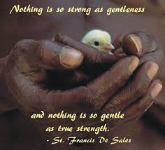 Nothing is so strong as gentleness, and nothing is so gentle as ... via Relatably.com
