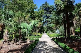 when in madrid royal botanical garden