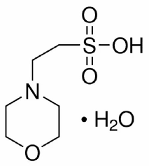 h buffer mes monohydrate cas number