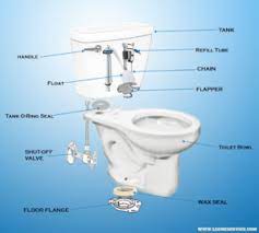 your toilet bowl parts how do they work