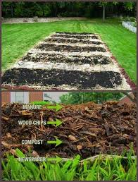 Organic Gardening Pest Control