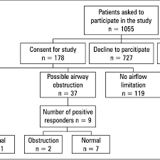 Flow Chart Presenting The Number Of Patients And The Results