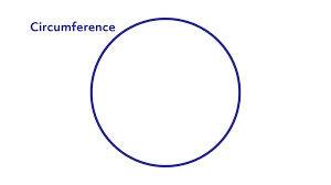 Cirference Of A Circle Calculator