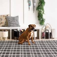 how to pick the perfect area rug