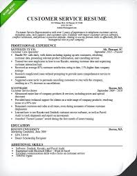 Professional Resume Format Resume Template Google Docs Free