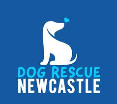 Barkbus, a mobile grooming service, has teamed up with a west hills rescue in an effort to give pups a better chance at finding a forever home. Dog Rescue Newcastle Petrescue