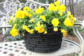 Old Garden Hose Into A Flower Pot