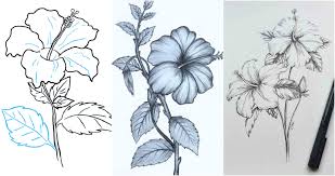 hibiscus really easy drawing tutorial
