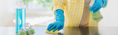 walmart house cleaning services in