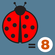 Image result for LADYBUG DOUBLE math DOTS showing 2 + 2