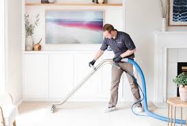 same day carpet cleaning san go