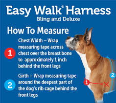 Easy Walk Deluxe Harness Size Chart Walk Images And Picture