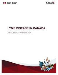 Lyme Disease and Modern Chinese Medicine  Dr  QingCai Zhang  Yale Zhang                  Amazon com  Books Pinterest