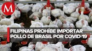 Pollo de Brasil. Filipinas suspende importación de aves por covid-19
