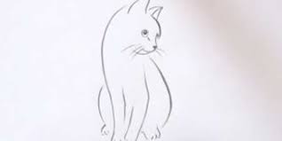Draw two vertical lines at the base for the cat's front legs. How To Draw A Cat Front View Sitting Front View And Side View