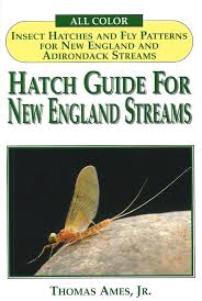 Hatch Guide For New England Streams Thomas Ames Jr David
