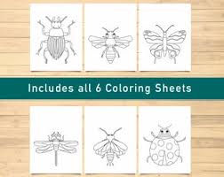 In coloringcrew.com find hundreds of coloring pages of insects and online coloring pages for free. Insect Coloring Etsy