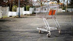 Glenn danzig shopping cart quote : The Shopping Cart