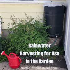 rainwater harvesting for use in the