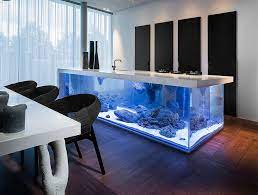 20 Best Aquarium Ideas to Freshen up Your Home Interior gambar png