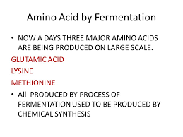 Amino Acid Fermentation Ppt Video Online Download