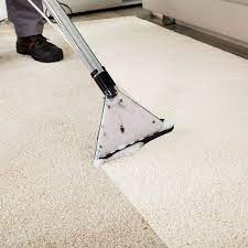 carpet cleaning bay eco cleaners