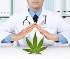Shortly after your evaluation, you can begin how to get a medical marijuana card in ma. How To Get A Medical Marijuana Card In Massachusetts