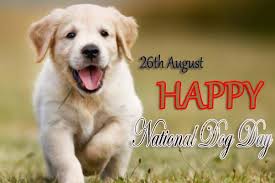 Father's day is always celebrated on the third sunday in june in the united states. National Dog Day 2020 Quotes Greetings Sms Slogans Wishes Messages Cute Photos Gsmarena Com