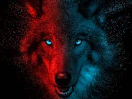 wolf wallpaper 4k scary grant