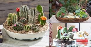 14 Diy Cactus Dish Garden Ideas