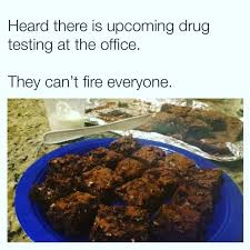 Find the newest drug test meme. Drug Test What Kind Of Drugs Are We Testing Meme Ahseeit