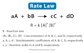 Rate Law Definition Equation And