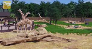 23 августа 2021 года в честь дня города откроют харьковский зоопарк, который реконструировали на протяжении пяти лет. V Harkovskom Zooparke K Otkrytiyu Poyavyatsya Novye Zhivotnye Novosti Harkova Redpost