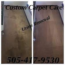 custom carpet cleaning 10623 vista
