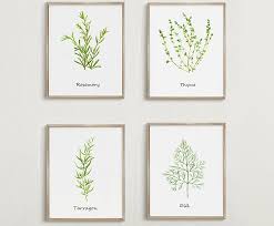 Kitchen Decor Set Of 4 Herb Painting