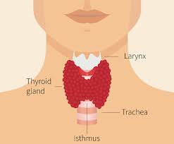thyroid cancer symptoms