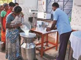 Image result for Tamilnadu Co-operative Milk Producers’ Federation Limited (TCMPF)