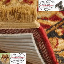 area oriental rugs cleaning