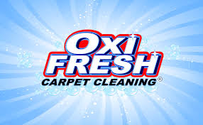 oxi fresh carpet cleaning st simons