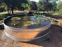 Lily Pond Using A Stock Tank