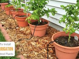 Drip Irrigation System For Potted Plants