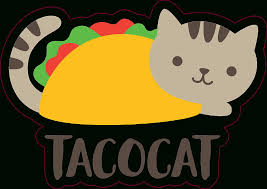 excelent cute taco cat sticker this