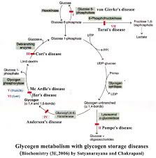 glycogen storage diseases pentosuria