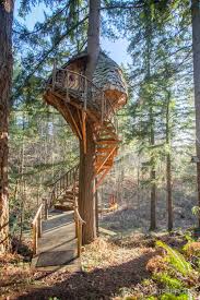 A traditional deck stair is a common design for tree houses. Tree House Stairs Design