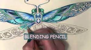 See more ideas about enchanted forest coloring, enchanted forest coloring book, johanna basford coloring. Enchanted Forest Coloring Book The Dragonfly With Color Names Youtube